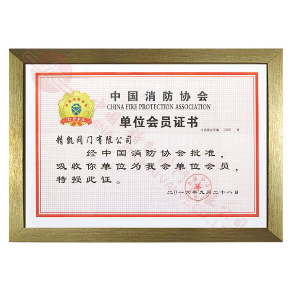中国消防协会单位会员证书